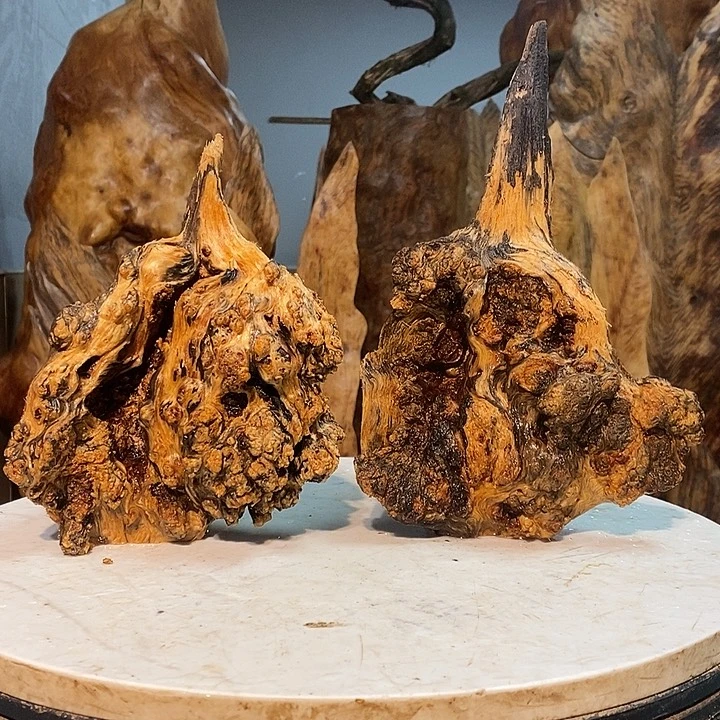 钊**沐我们都是你的粉丝7