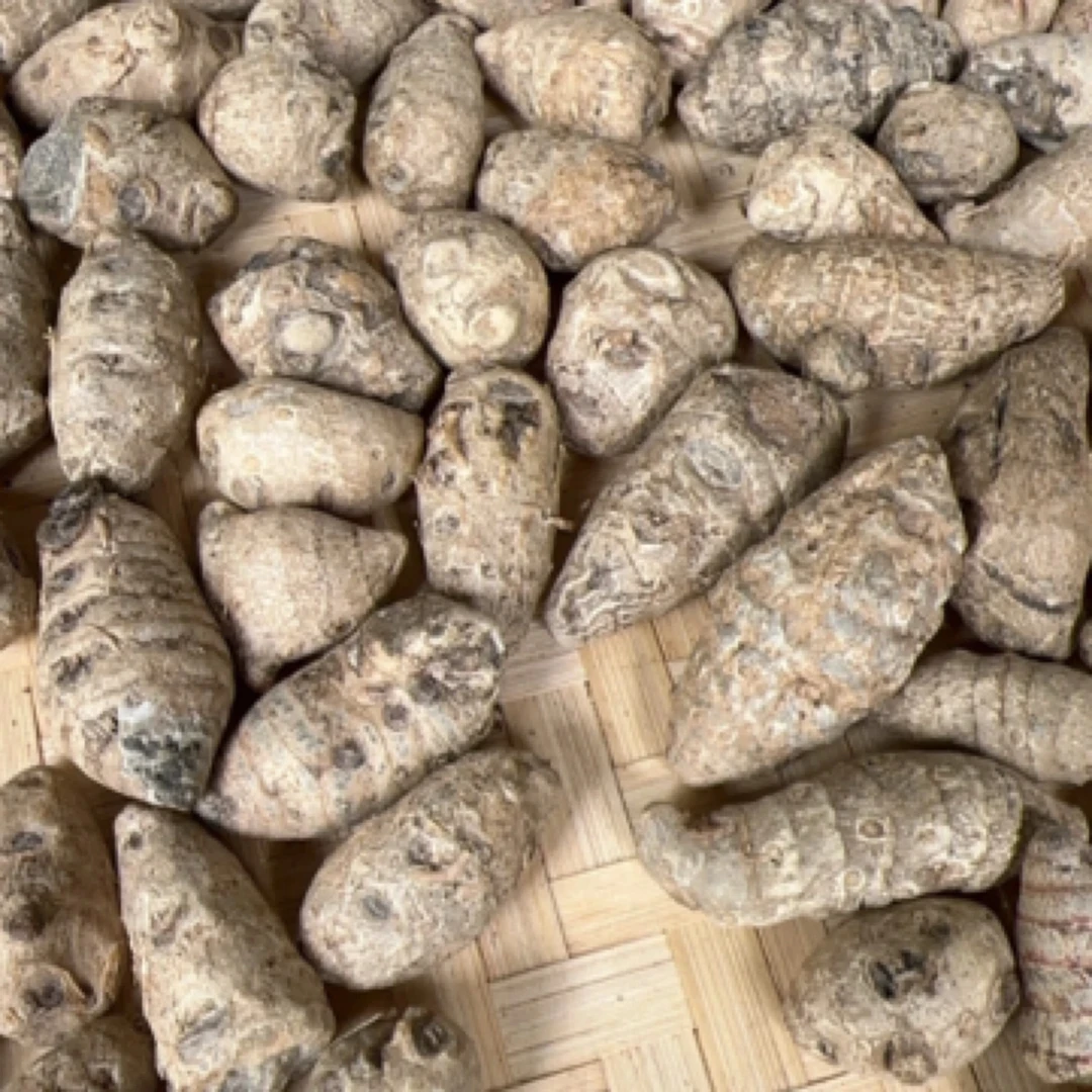 【阿雅专属土特产】三七 菇净含量250g起