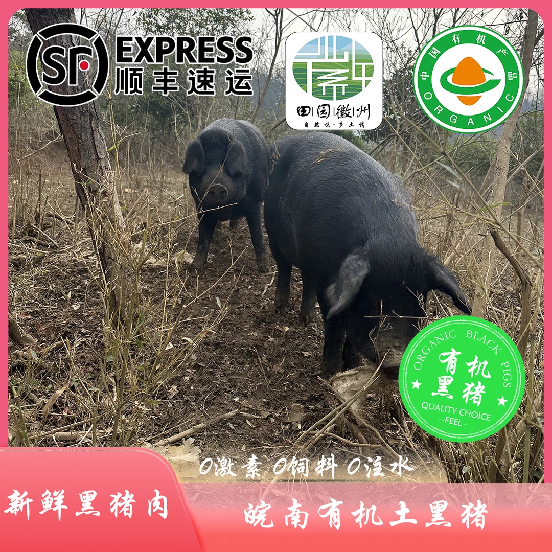 【田园徽州&易小菜】新鲜发货【限江浙沪】有机土黑猪 鲜肉 排骨 内脏