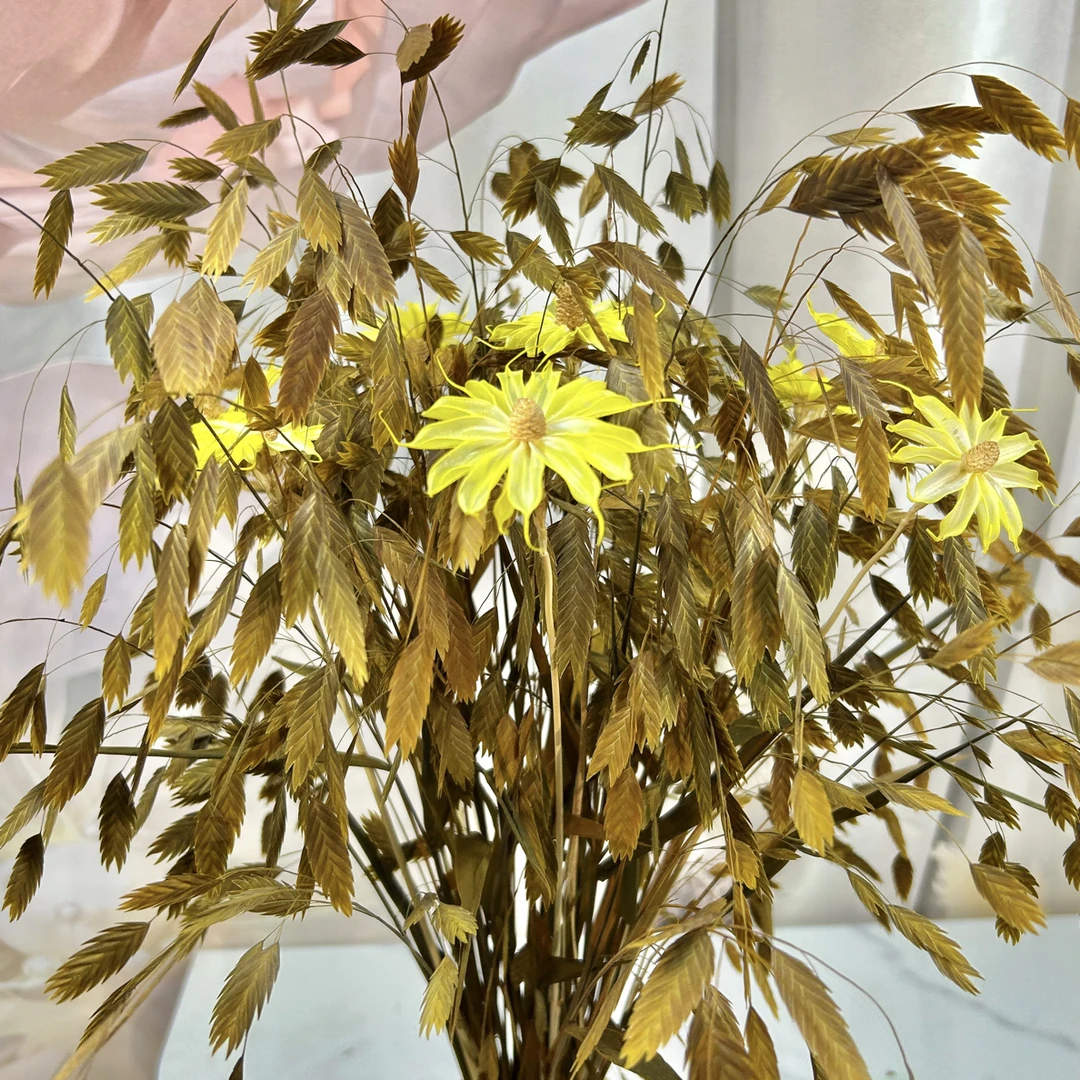 永生小盼草的灵动看到了微风～