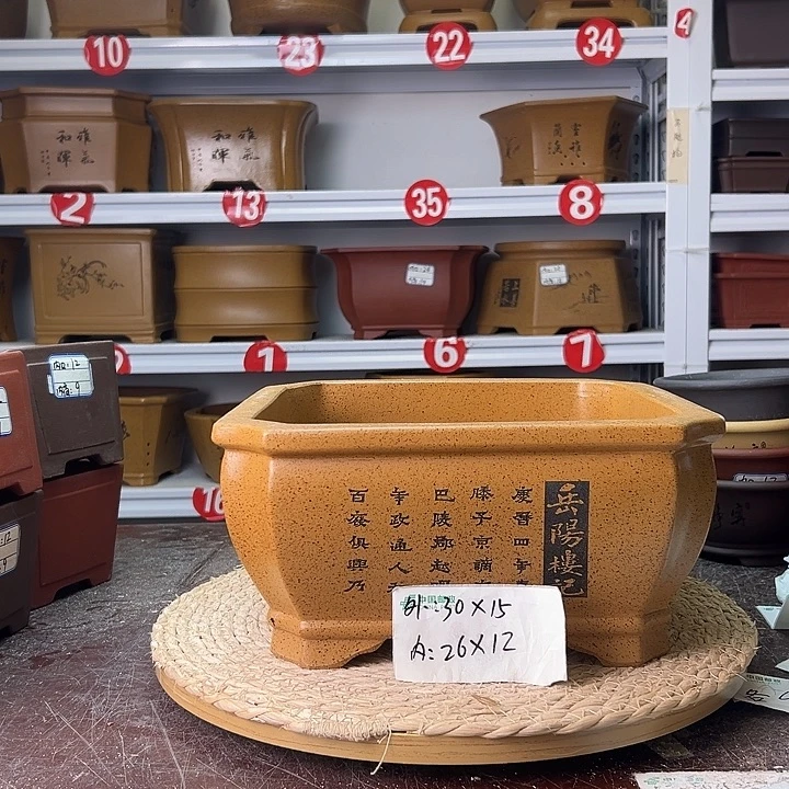 花盆紫砂蛇年大吉