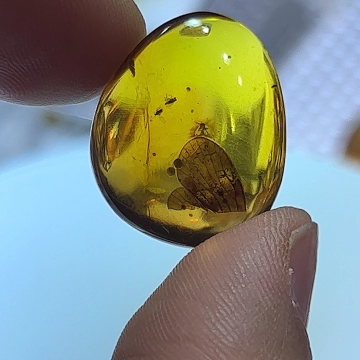 琥珀未镶嵌颈饰虫珀