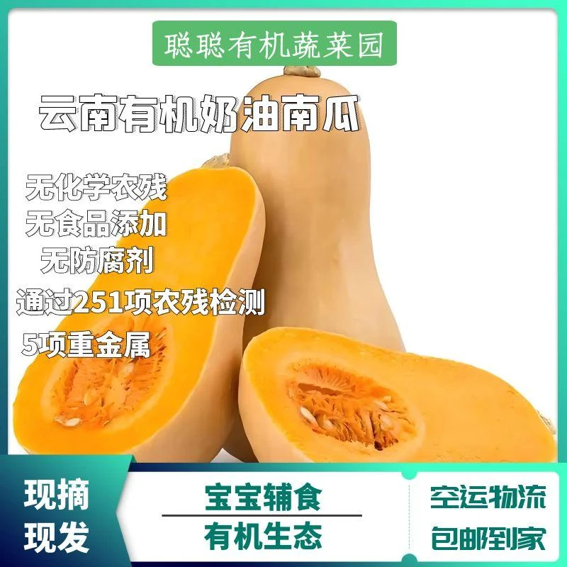 云南纯生态有机种植-奶油南瓜-宝宝辅食-新鲜采摘【随机发货】