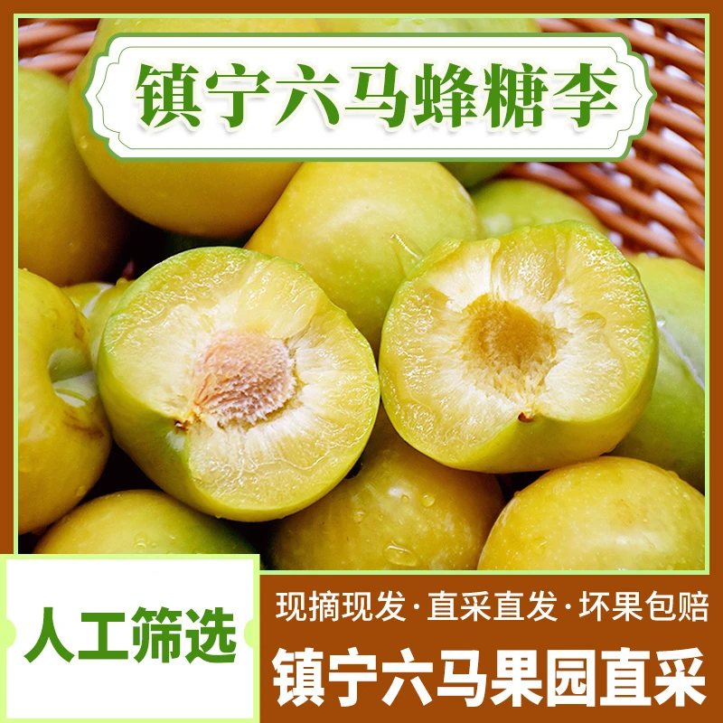 【邮政助农】正宗贵州六马蜂糖李子当季新鲜整箱脱骨李子2.5-5斤装2