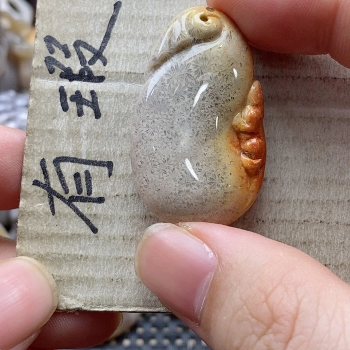 硅化珊瑚（珊瑚玉）颈饰未镶嵌果*