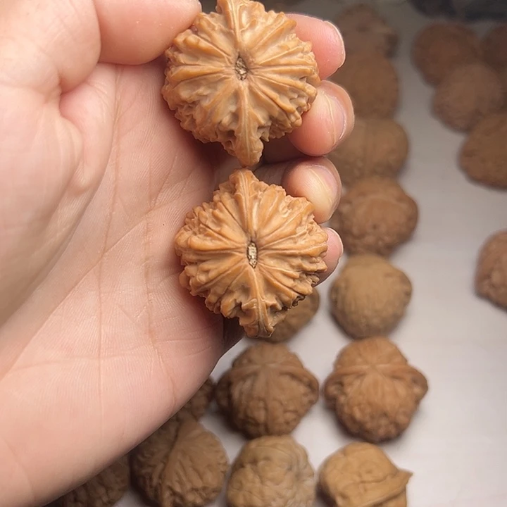 全品蝴蝶磨盘狮子头