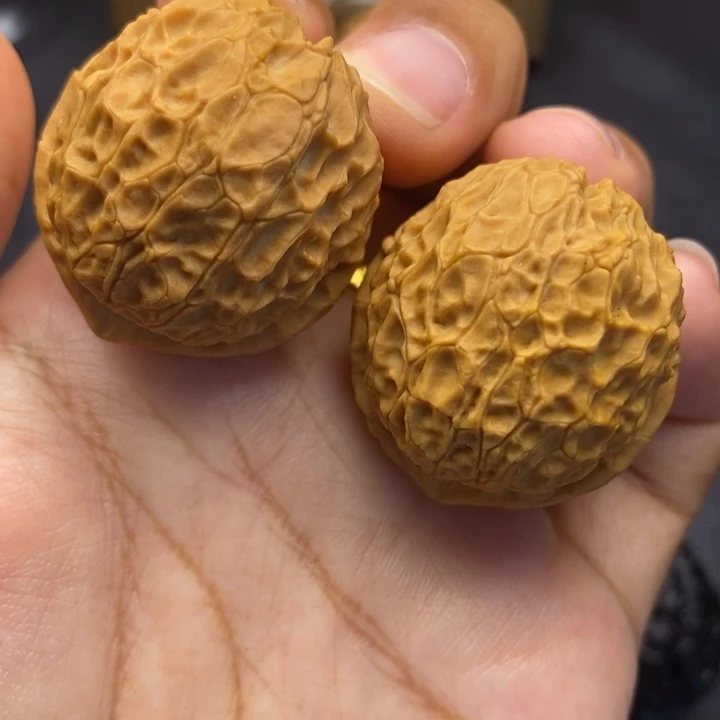 文玩核桃把件37尺铁龙珠