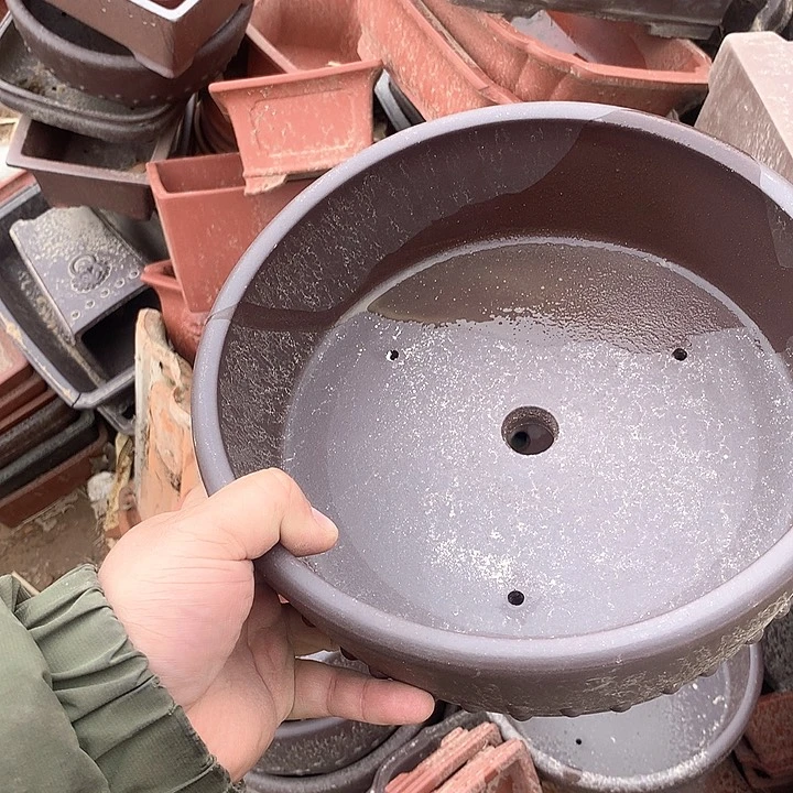 紫砂没有那么重要的人在我们