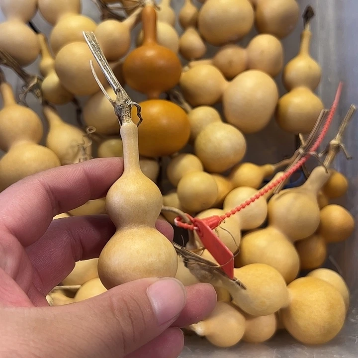 嗯***。有机玻璃蚂蚁蚂蚁蚂蚁蚂蚁