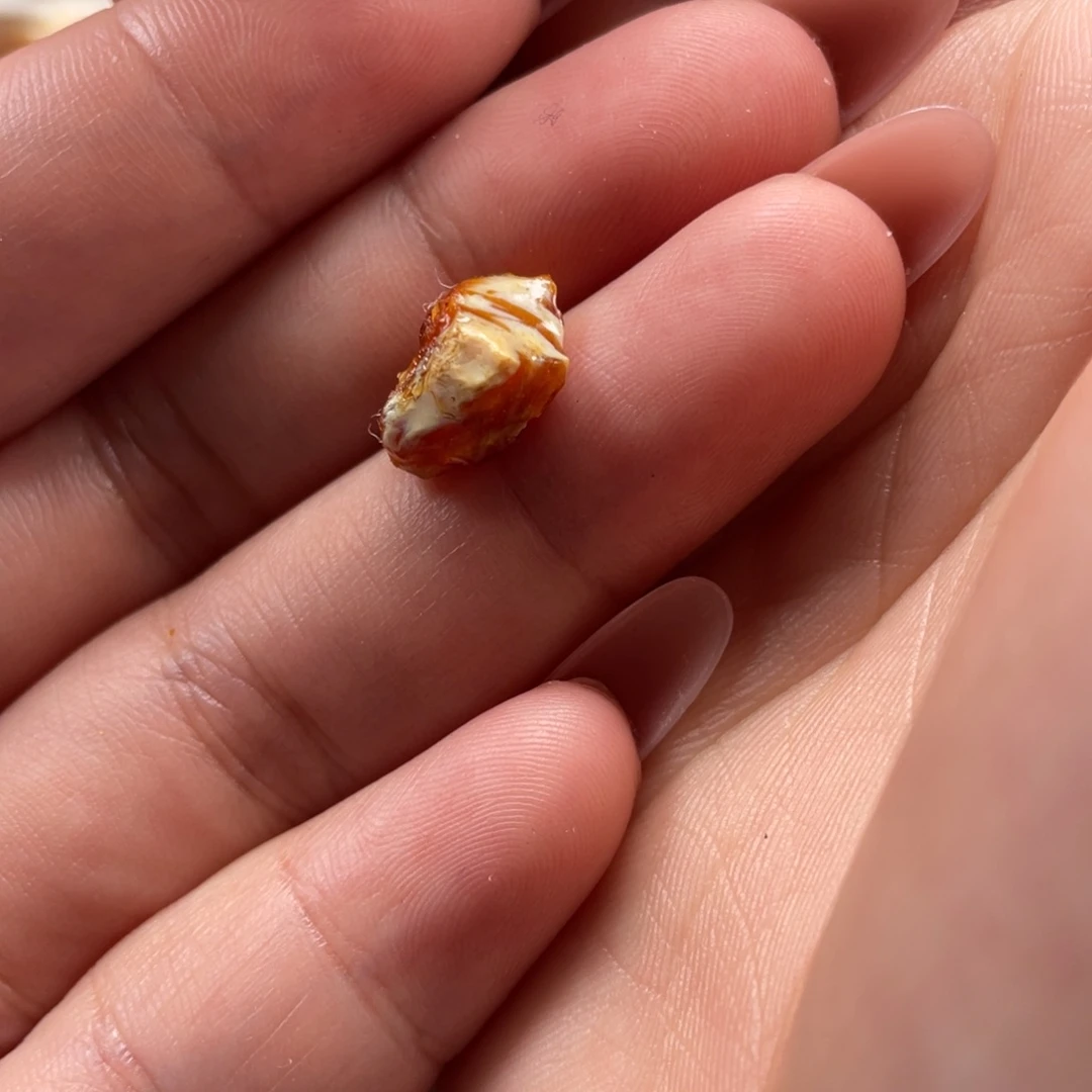 定制琥珀未镶嵌天然蜜蜡原石