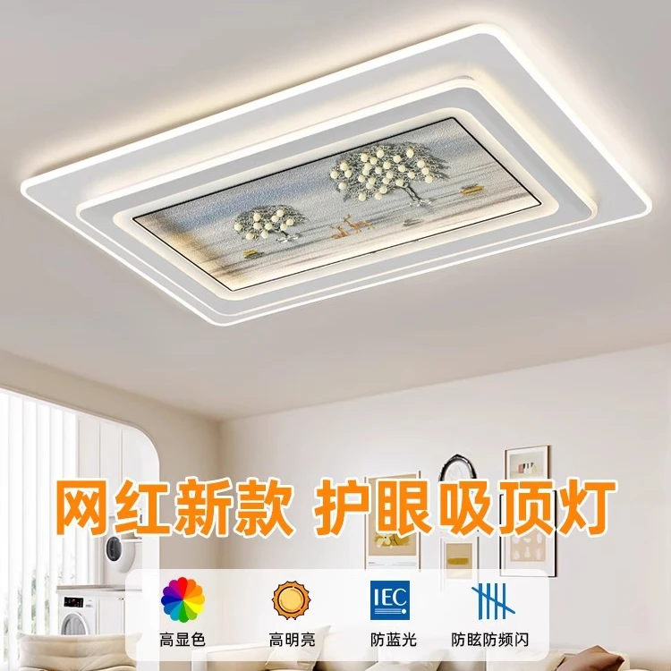 2025新款网红led主卧室灯现代简约浪漫房间客厅灯长方形吸顶灯具