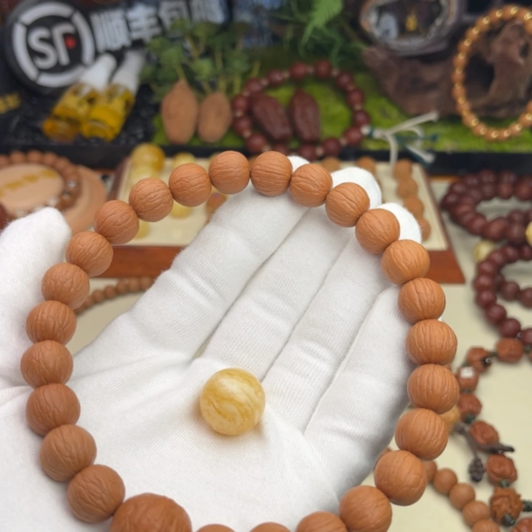 D***o核桃猴头秘密啦啦毕业