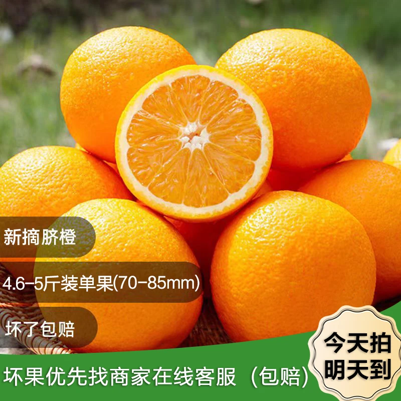 1【包邮次日达】新鲜脐橙4.5-5斤,中大果70-85mm多汁农家果园现摘 店铺:203092660