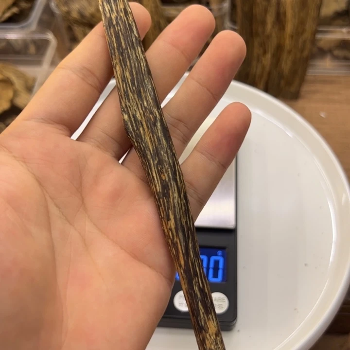 达拉干树心油6.3壳