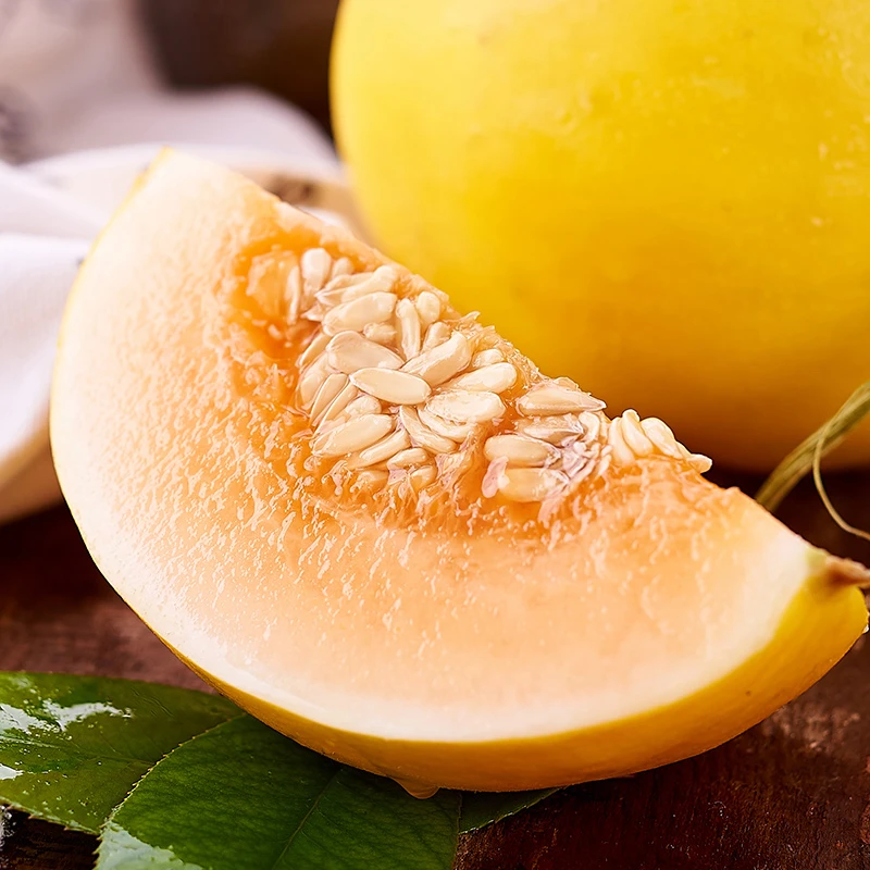 甘肃民勤蜜瓜4-9斤新鲜水果沙漠蜜瓜现摘甜瓜金红宝多仓发货