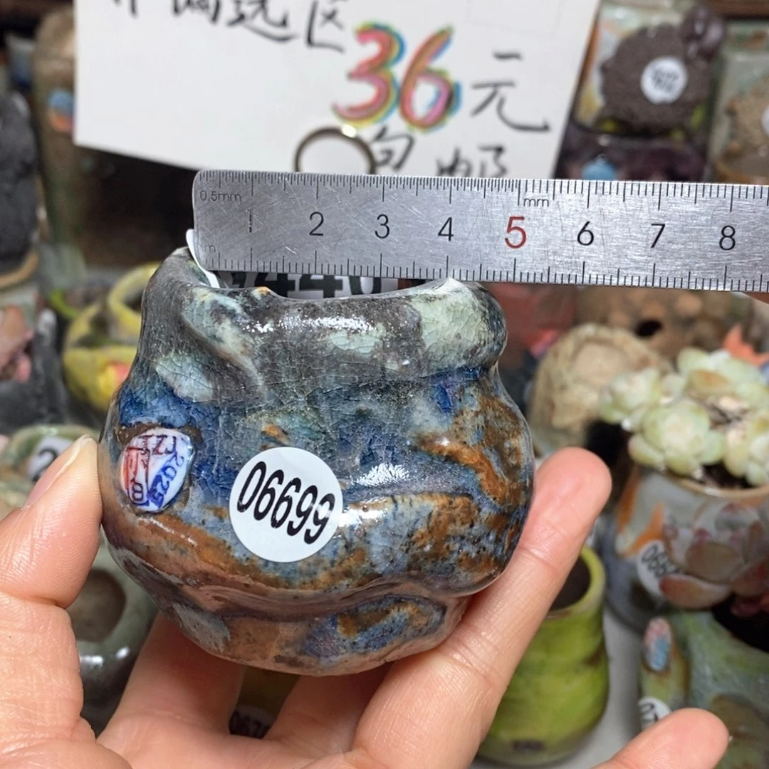 花盆拍3送一个小礼物