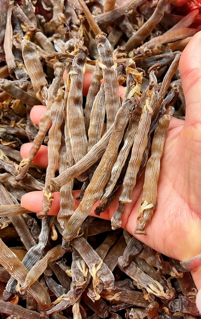 北海特产深海灰沙虫滋补养生