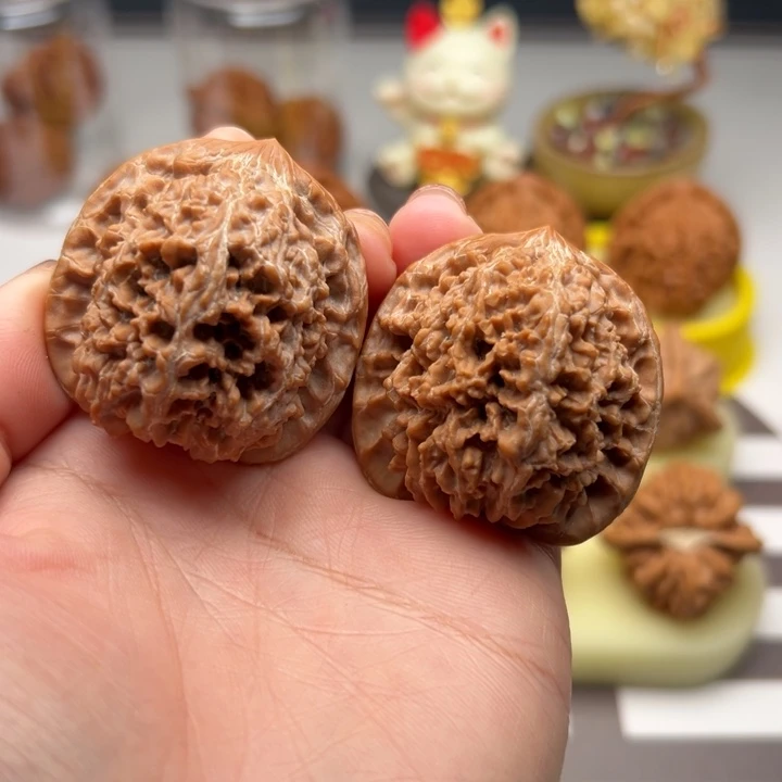 核桃41原桩百花山