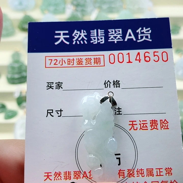 颈饰未镶嵌翡翠吊