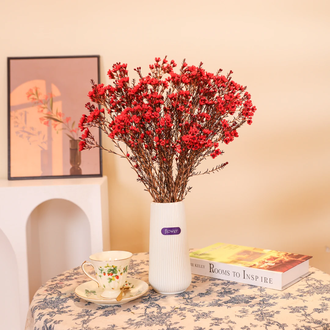 澳洲腊梅花鲜花云南直发耐养红色喜庆水培澳梅插花鲜切花蜡梅花束