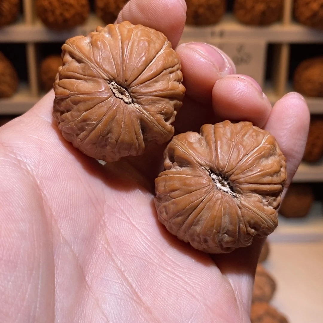 36尺 全品白茬 骨质好 铁锤妹妹