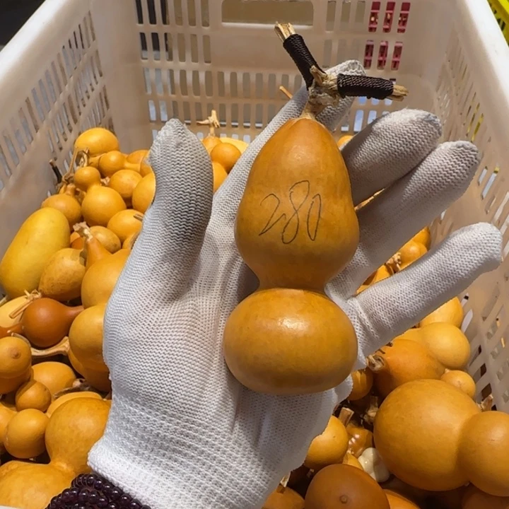 乘****࿐哈哈哈哈真的好喜欢