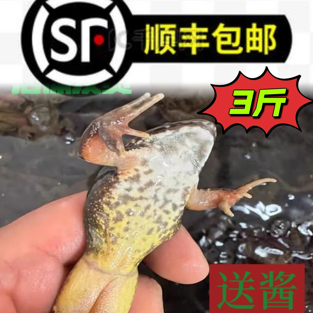 东北河鲜公 顺丰包邮送酱