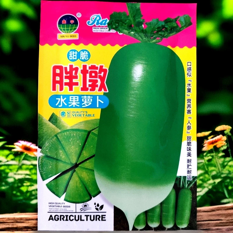 甜脆胖墩水果萝卜籽10克左右