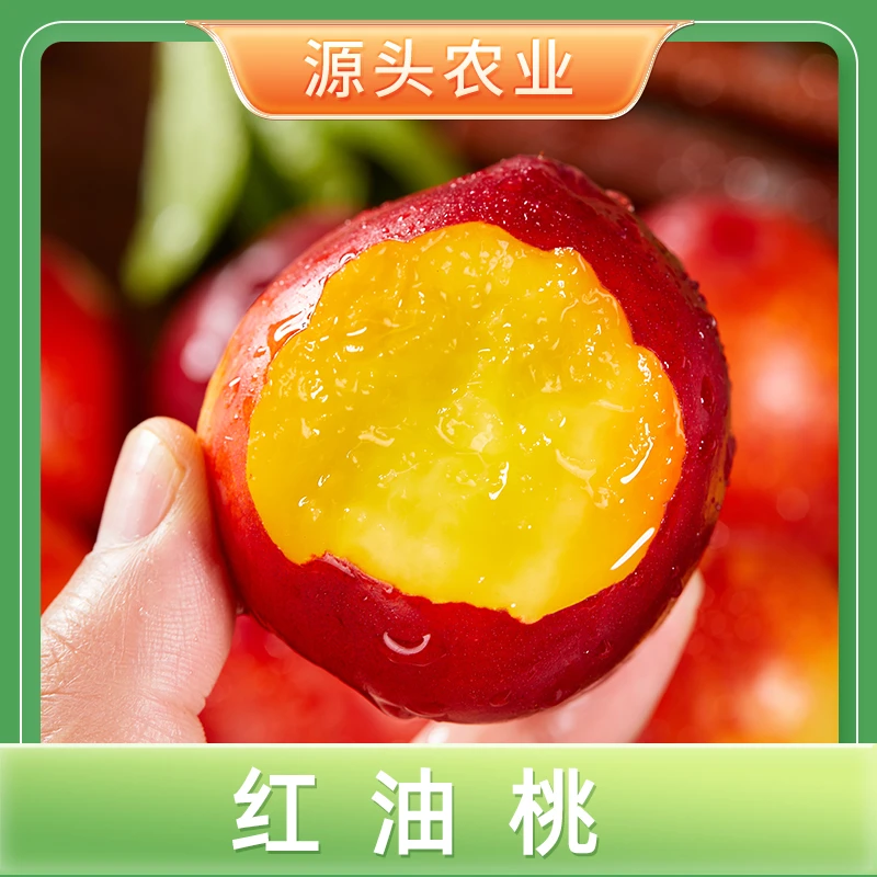 【红油桃】山西新鲜水果当季黄肉时令水果 3斤装 S