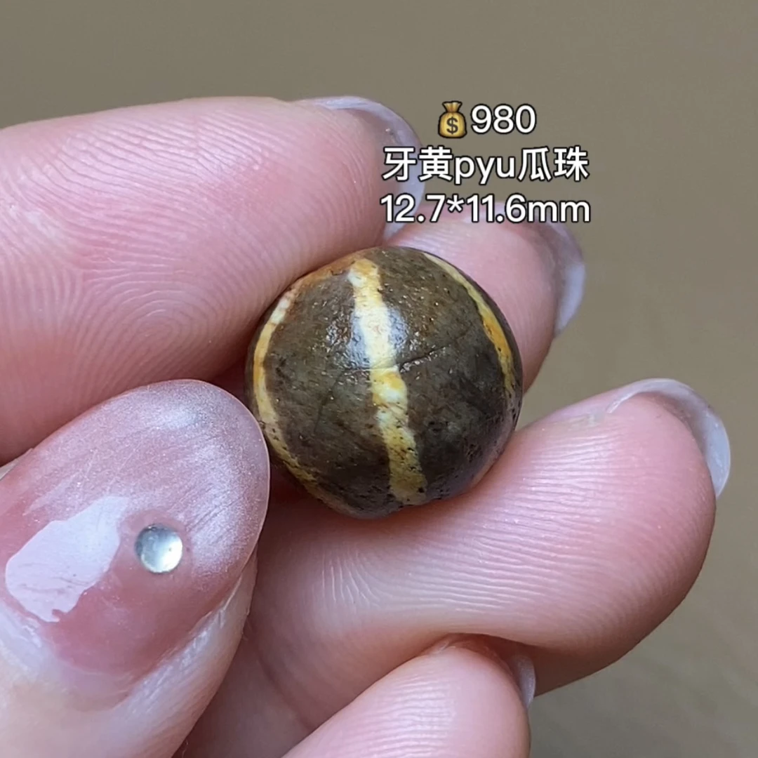 pyu牙黄瓜珠 千年古珠 有细节视频找客服
