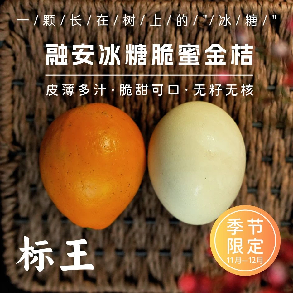 【标王年货节】正宗融安第三代脆蜜金桔|纯甜无酸现摘现发|顺丰