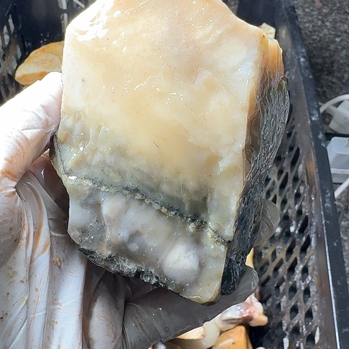 寿山石寿山石的故事