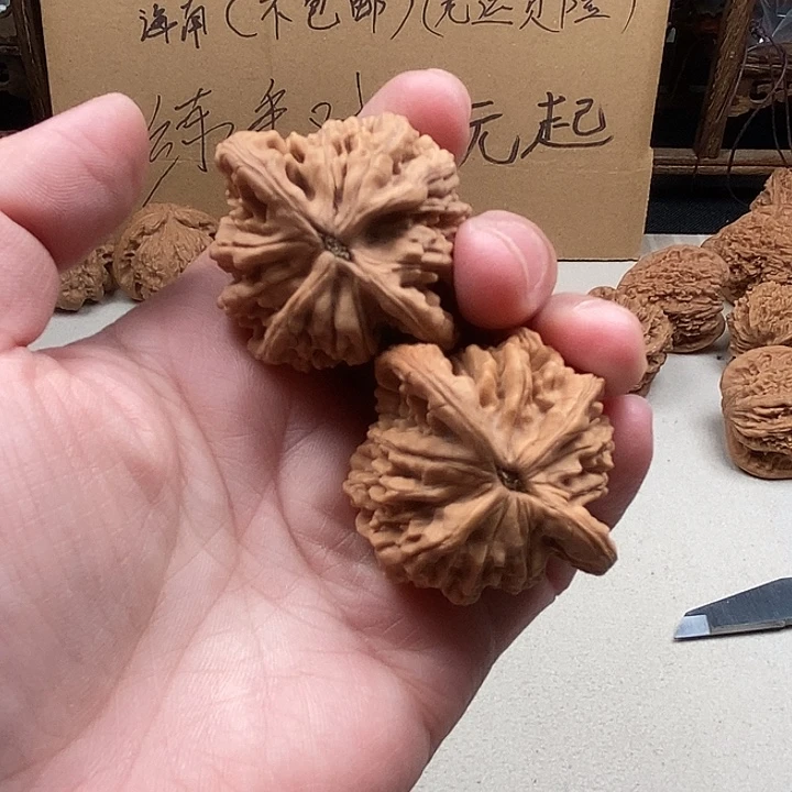 我***.龙脊菩提吊坠39.39.39.39