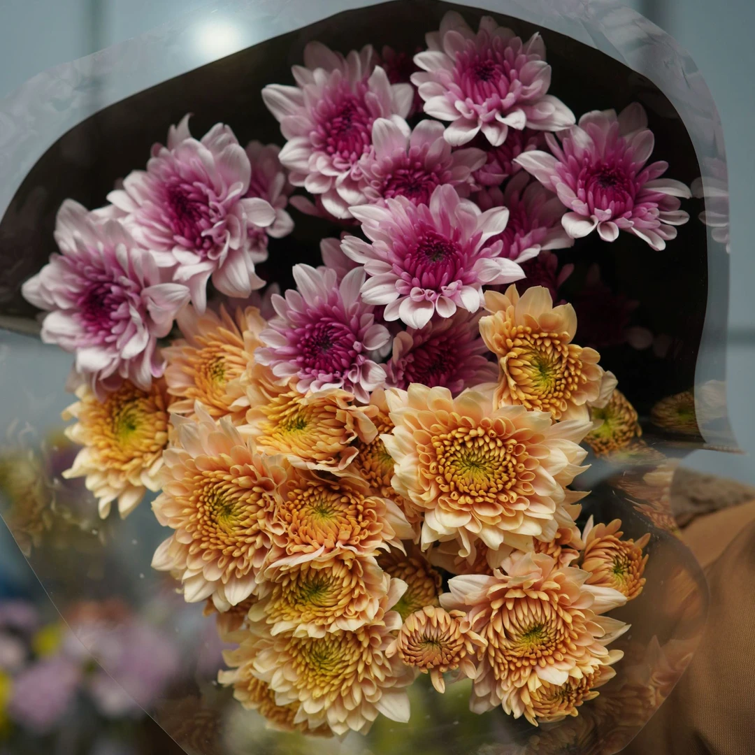 【顺丰发货】香草沙拉+草莓冰淇淋鲜花N单一个运费自选品种