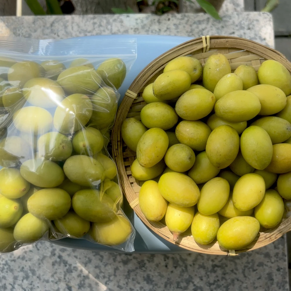 潮汕软枝纳种橄榄 脆浓香橄榄味 生吃煲汤泡酒 1斤起