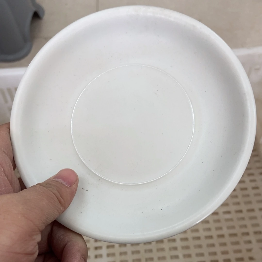 杯直播链接直播链接