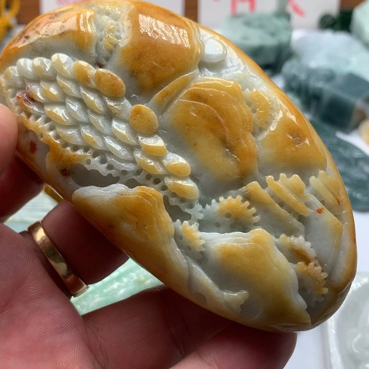 颈饰未镶嵌翡翠保真天然a货翡翠