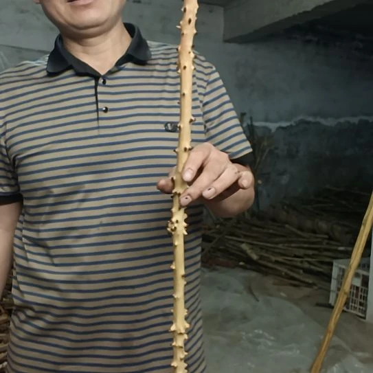 稳定木强*高山 檬子木文玩料