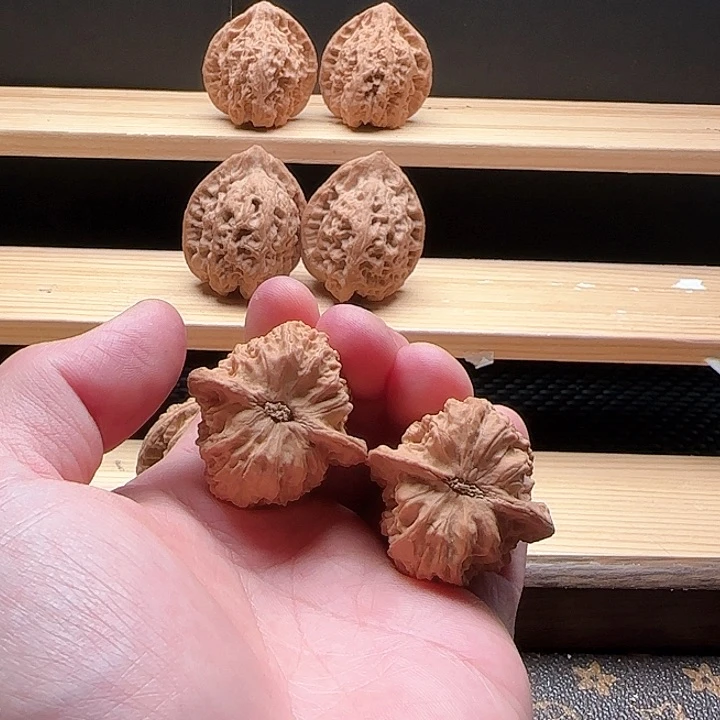 文玩核桃把件时*马蹄