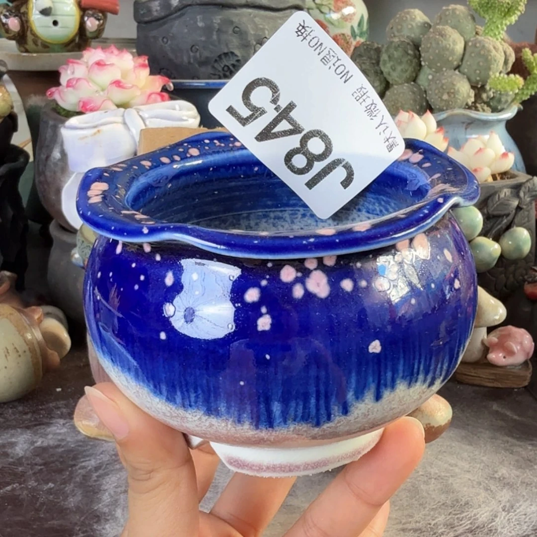 重庆小燕子欢迎大家745