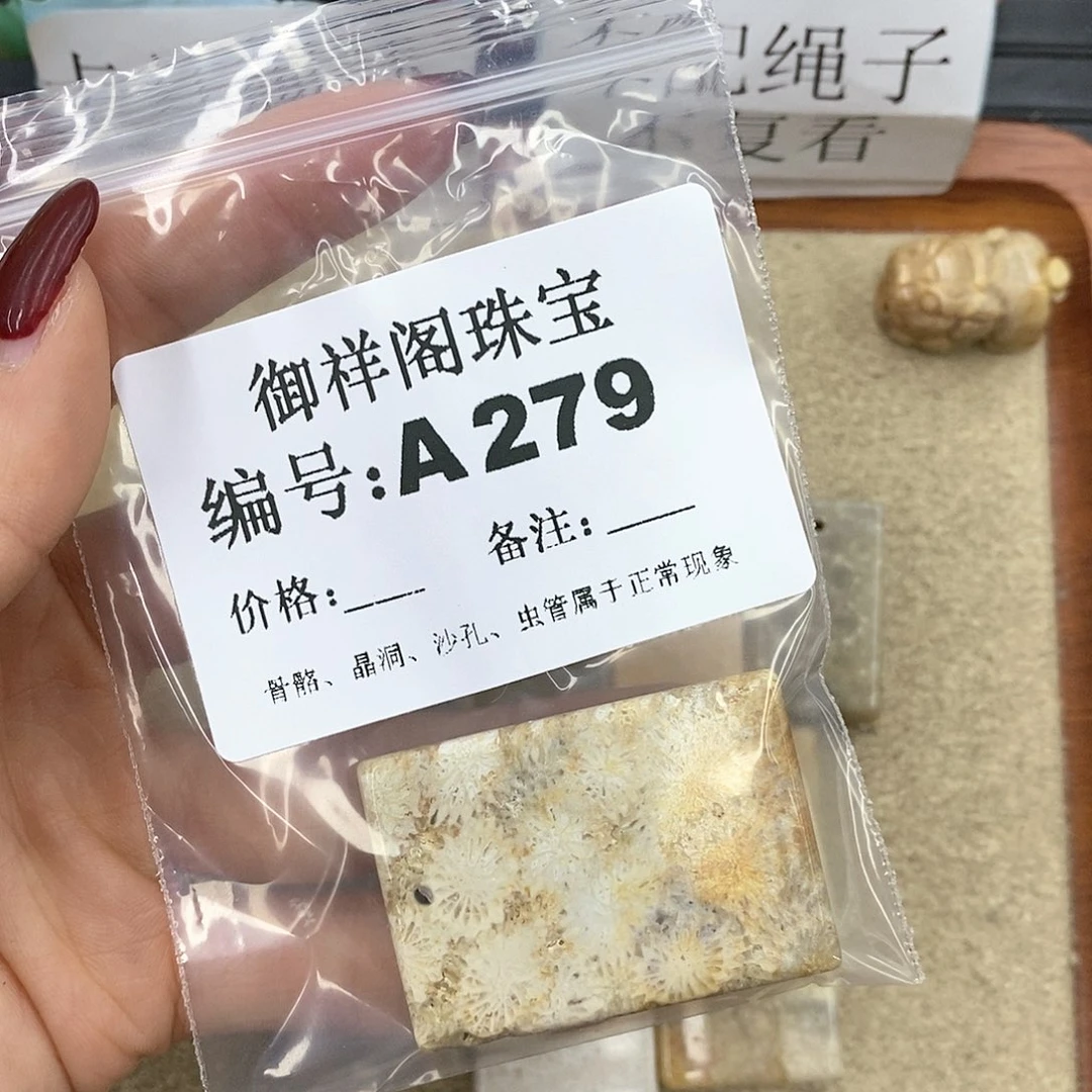 硅化珊瑚（珊瑚玉）A265未镶嵌L***理