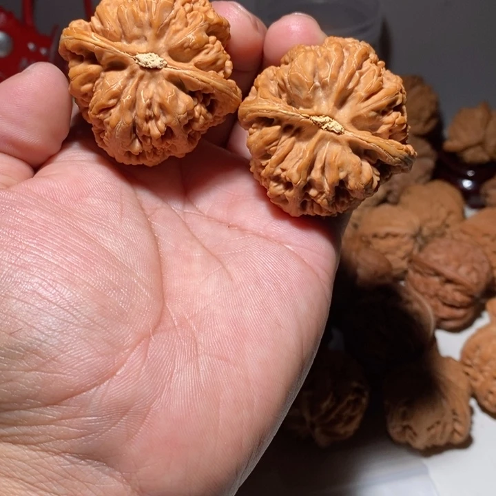 鼻*文玩核桃大粗筋核桃