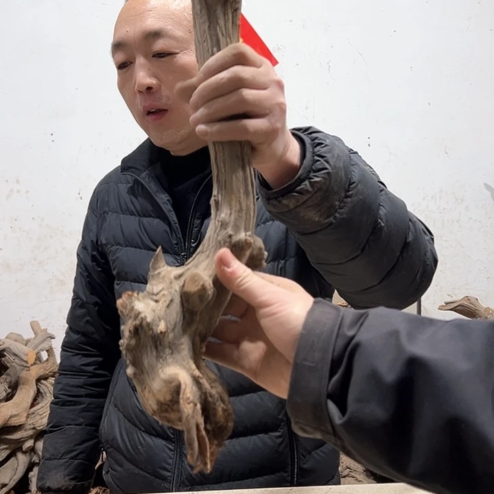 柏木木****店我们的生活也是如此