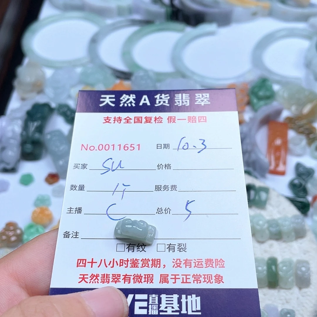 颈饰未镶嵌翡翠s****?