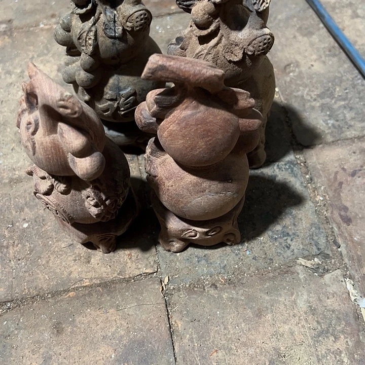 香榧木88888888888888