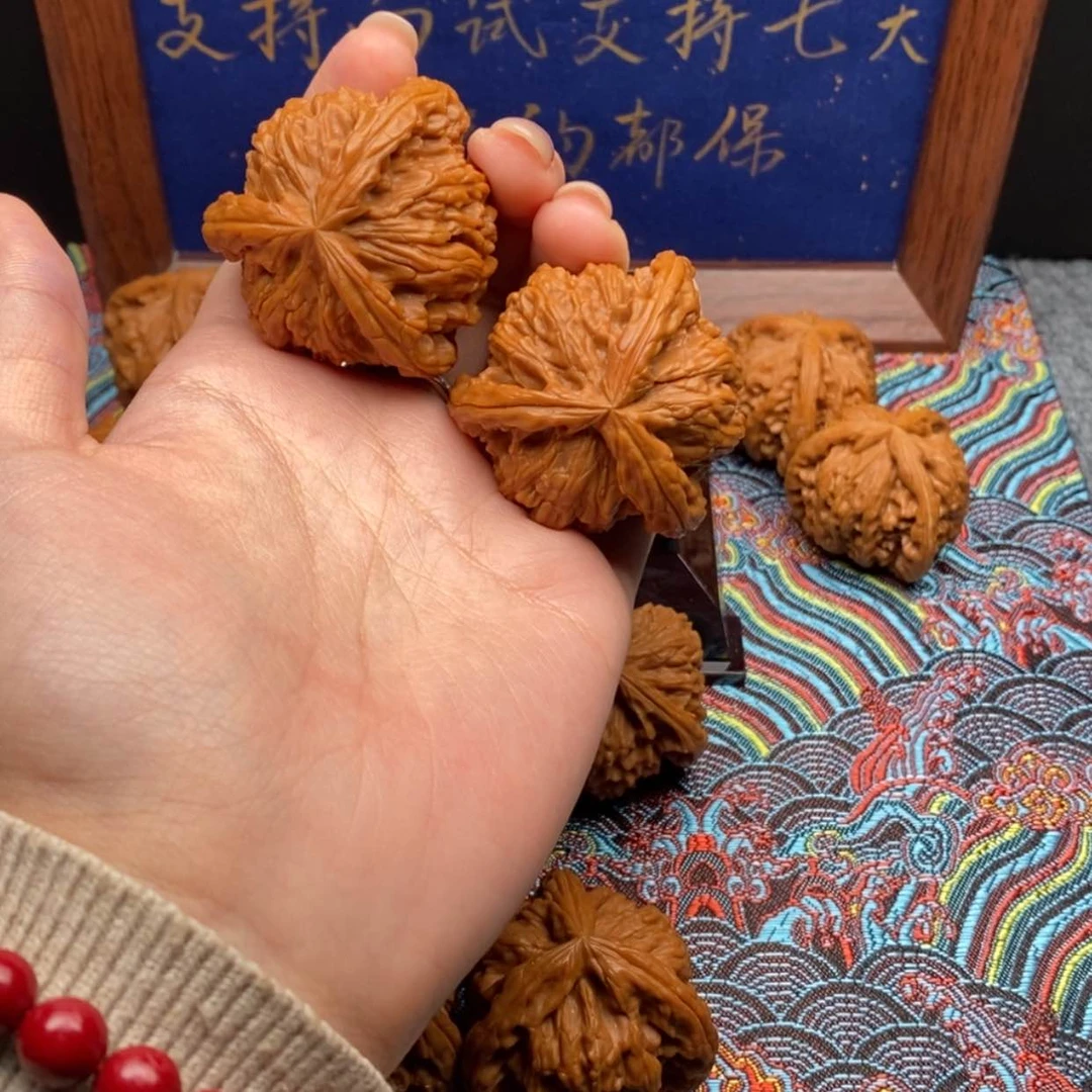 【闪购商品】袂*白狮
