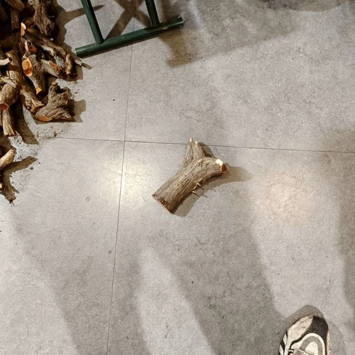 蕭***張香榧木崖柏原叉崖柏原叉崖柏原叉