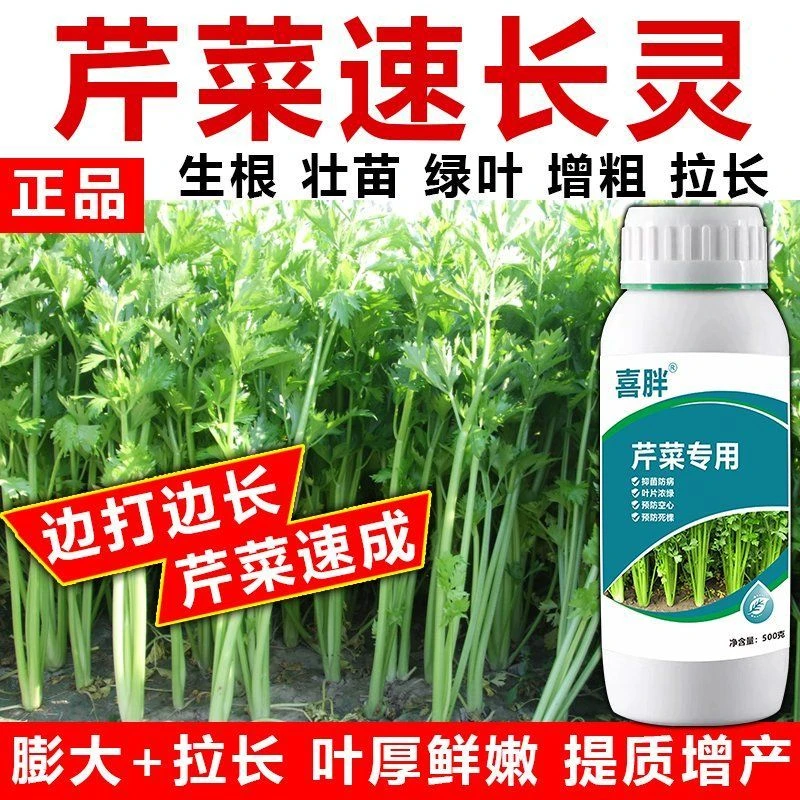 芹菜猛长芹菜专用肥料增粗增白拉长嫩绿西芹通用芹菜速长叶面肥