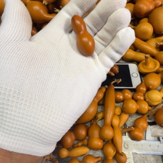 时***道月光单行道的一把蚂蚁葫芦一把蚂蚁