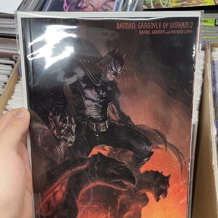 蝙蝠侠石像鬼王老师专拍